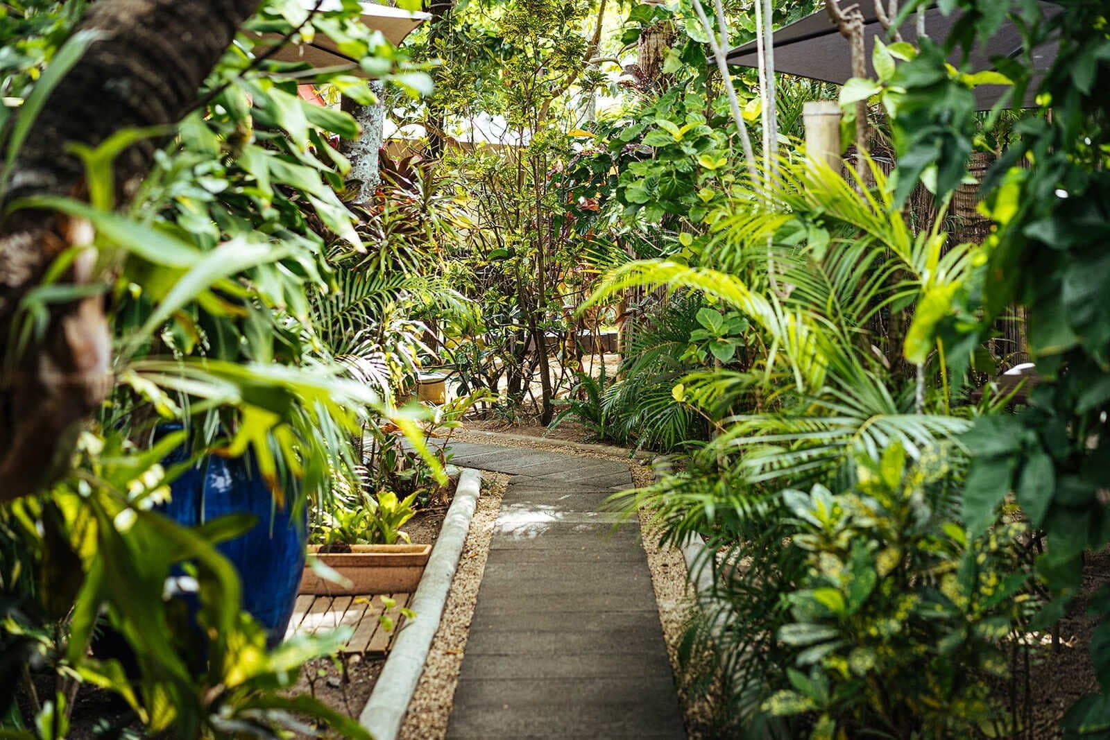 Vegetated pathway through the garden
