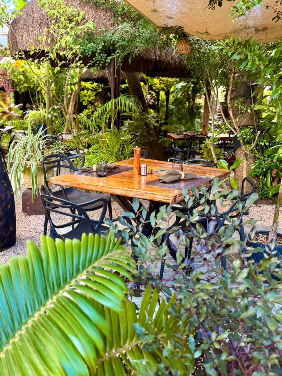 The Poivrier wooden lodge and covered terrace open onto tropical greenery